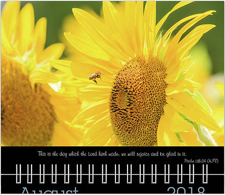 Inspirational Photograph - August Inspirational Preview by Joni Eskridge