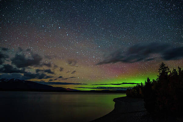 Wyoming Wall Art featuring the photograph Aurora Over Jacskon Lake by Jeff Stoddart