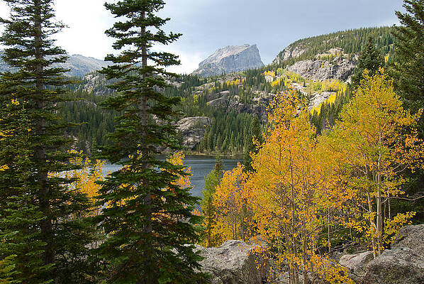 Rocky Mountain National Park Photograph - Autumn At Bear Lake by Cascade Colors