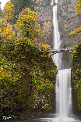 Majestic Waterfall Bridge Wall Art