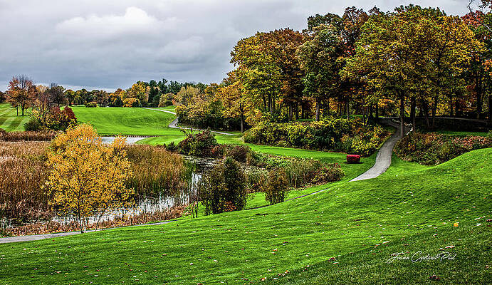 Wall Art featuring the photograph Autumn Beauty by Joann Copeland-Paul