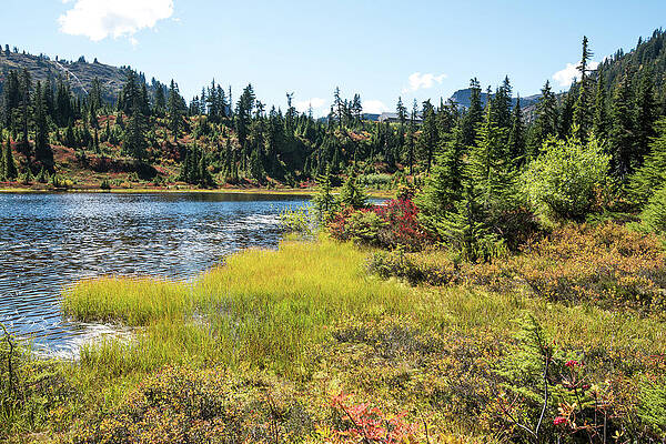 Fall Wall Art featuring the photograph Autumn Begins At Picture Lake by Tom Cochran