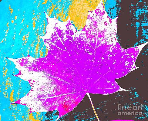 Abstract Photograph - Autumn Brights by Onedayoneimage Photography
