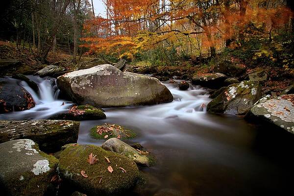 Wall Art featuring the photograph Autumn Colors by Alberto Audisio