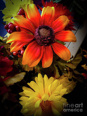 Fall Photograph - Autumn Flowers by William Norton