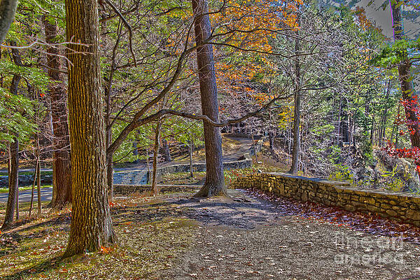 Fall Photograph - Autumn In Letchworth by William Norton