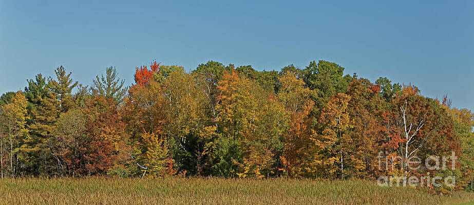 Fall Photograph - Autumn In Northern Wisconsin by Natural Focal Point Photography