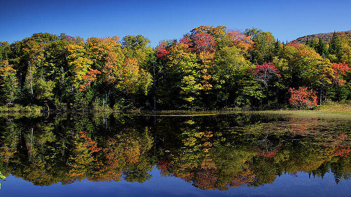 Wall Art featuring the photograph Autumn Reflections 2 by Alberto Audisio