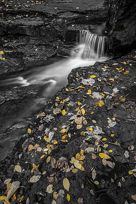 Pennsylvania Wall Art featuring the photograph Autumn Splash #2 by Todd Wilkinson