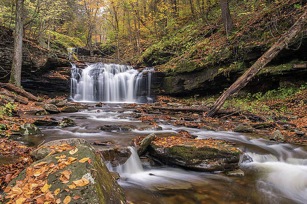 Pennsylvania Wall Art featuring the photograph Autumn Spritz by Todd Wilkinson