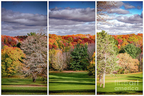 Fall Photograph - Autumn Vista by William Norton