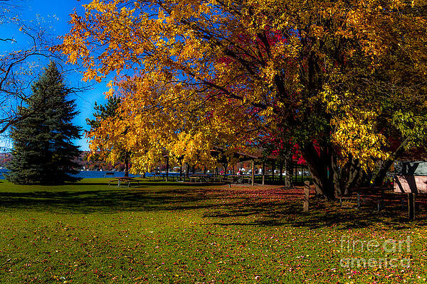 Fall Photograph - Autumn by William Norton