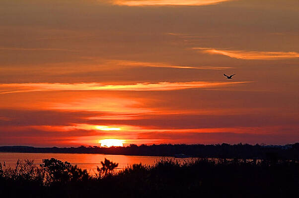 Sky Wall Art featuring the photograph Back Bay by Robert Newman