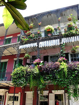 Garden Wall Art featuring the photograph Balcony Garden by C Thomas Cooney