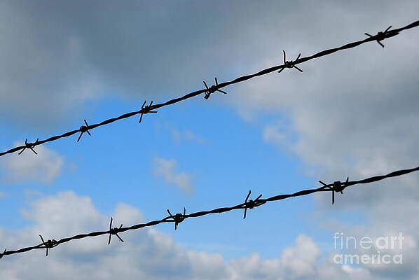 Outdoors Wall Art featuring the photograph Barbed Wires Against Cloudy Sky by Sami Sarkis Photography