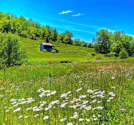 Green Wall Art featuring the photograph Barn In A Field by Jonny D