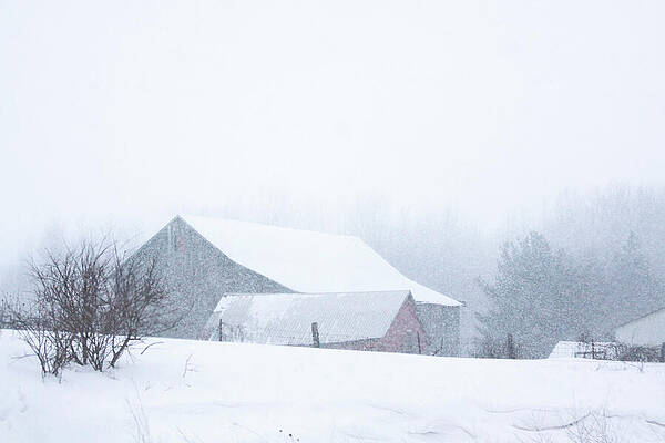 Winter Wall Art featuring the photograph Barns In The Snow by Tatiana Travelways