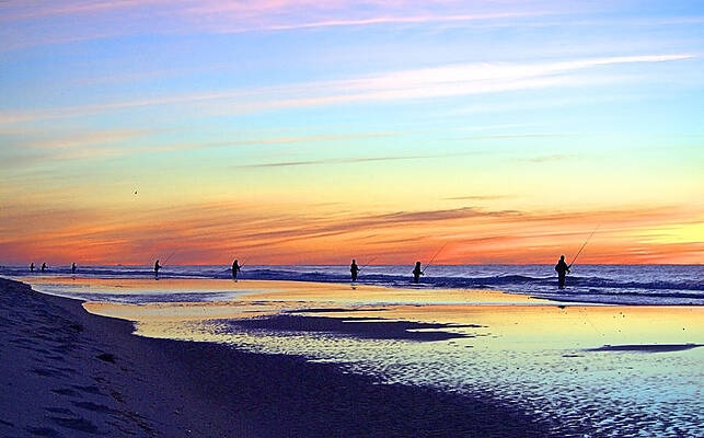 Wall Art featuring the photograph Bassing I I by Robert Newman