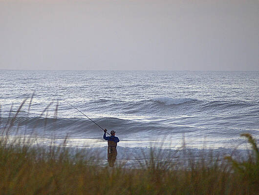 Wall Art featuring the photograph Bassing by Robert Newman