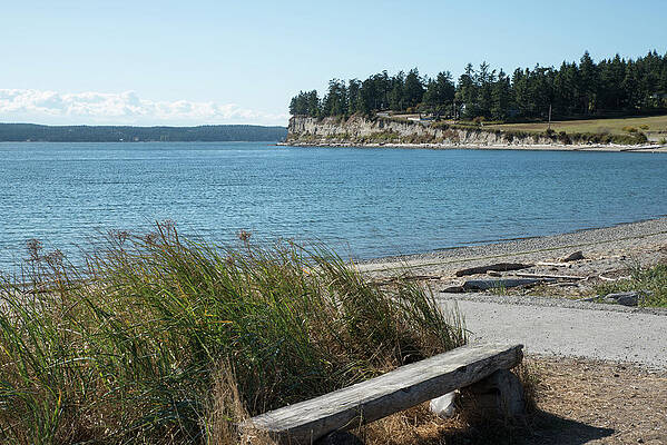 Beach Photograph - Beach Bench At Penn Cove by Tom Cochran