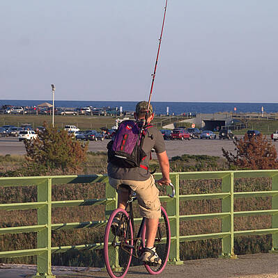 Wall Art featuring the photograph Beach Biker by Robert Newman