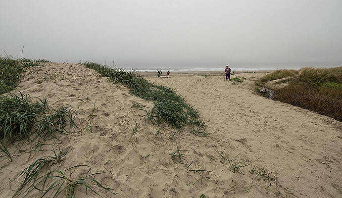 Beach Photograph - Beach Hiker On A Foggy Day by Tom Cochran