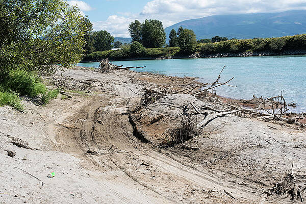 Beach Photograph - Beach Racing Along The Skagit River by Tom Cochran