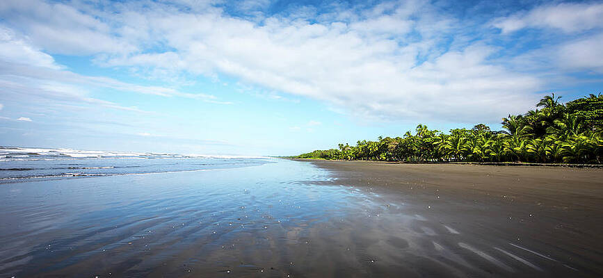 America Photograph - Beaches Of Costa Rica by David Morefield