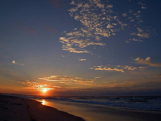 Wall Art featuring the photograph Beauty by Robert Newman