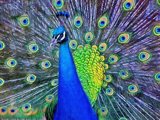 Wall Art featuring the painting Beauty Whatever The Name by Jeffrey Kolker