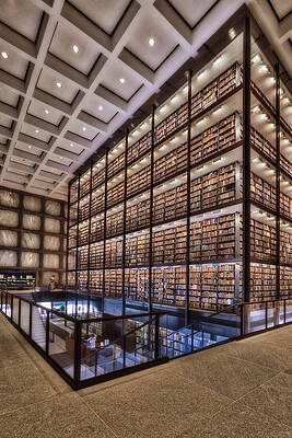 Vast Modern Library Interior Wall Art