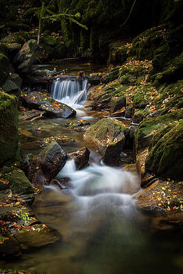 Fall Wall Art featuring the photograph Below Torc by Mark Callanan