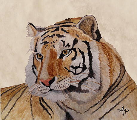Wildlife Painting - Bengal Tiger by Angeles M Pomata