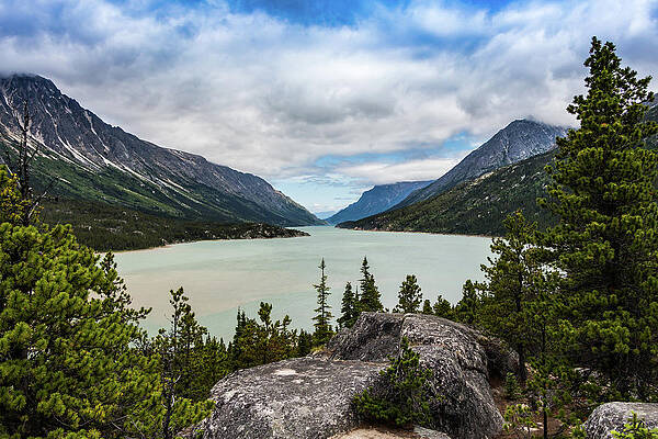 Tree Wall Art featuring the photograph Bennett Lake by Ed Clark