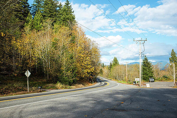 Fall Wall Art featuring the photograph Beyond The Curve by Tom Cochran