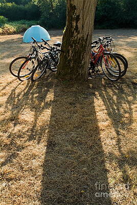 Transportation Wall Art featuring the photograph Bicycles Leaning Against A Tree Trunk With Tent In Background by Sami Sarkis Photography