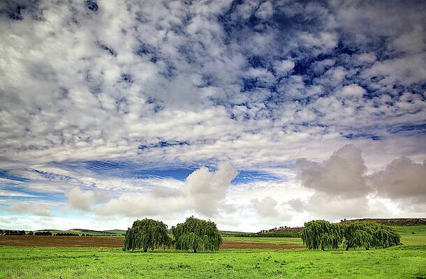 Wall Art featuring the photograph Big Sky by Alberto Audisio