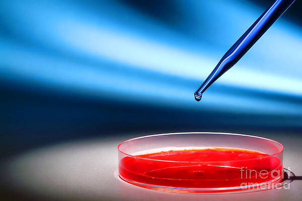 Biotechnology Experiment in Science Research Lab by Science Research Lab