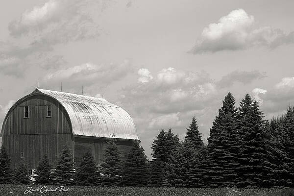 Wall Art featuring the photograph Black And White Barn by Joann Copeland-Paul