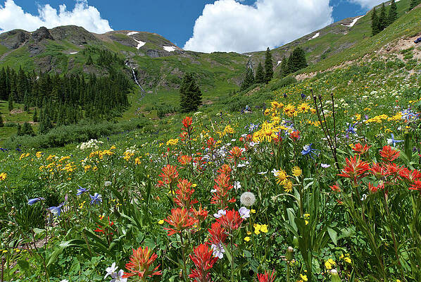 Colorado Photograph - Black Bear Pass Landscape by Cascade Colors