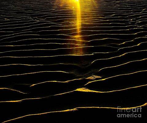 Reflection Photograph - Black Gold by Debra Banks