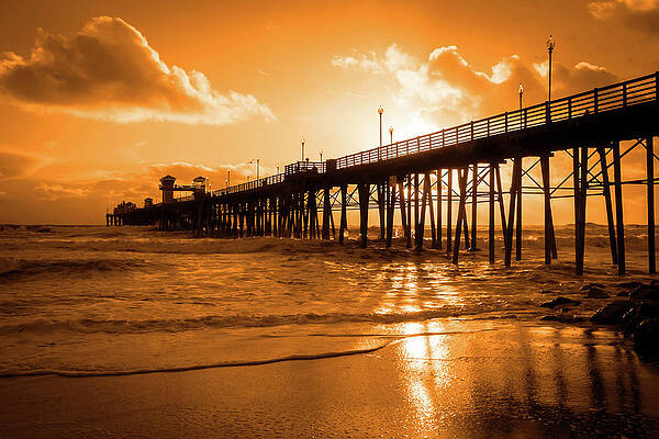 Photograph - Blaze by American Landscapes