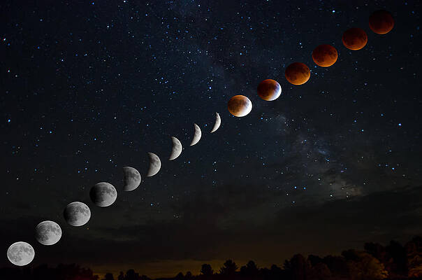 Wall Art featuring the photograph Blood Moon Lunar Eclipse by Crystal Wightman