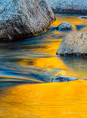 Fall Wall Art featuring the photograph Blue And Gold 0557 by Dan Beauvais