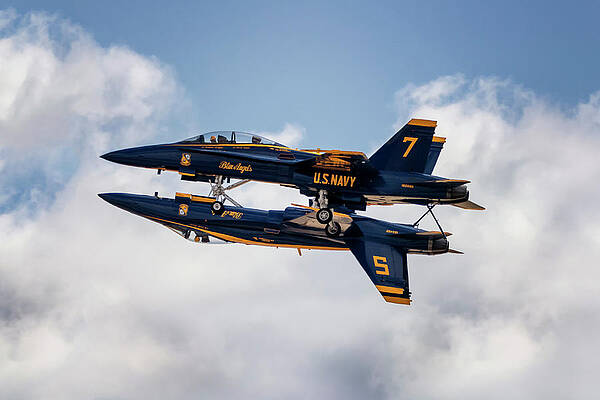 Pilot Photograph - Blue Angels Fortus Formation by American Landscapes
