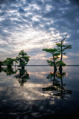 Sunrise Photograph - Blue Cypress Sunrise #1 by Ghostwinds Photography