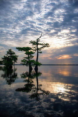 Sunrise Photograph - Blue Cypress Sunrise #2 by Ghostwinds Photography