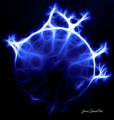 Wall Art featuring the photograph Blue Jelly Fish by Joann Copeland-Paul
