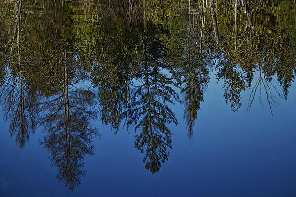 Reflection Photograph - Blue Sky Reflection by Dale Kauzlaric