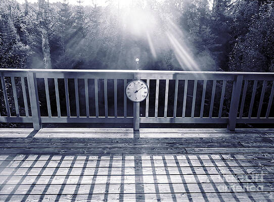 Tree Wall Art featuring the photograph Blue Summer by Onedayoneimage Photography